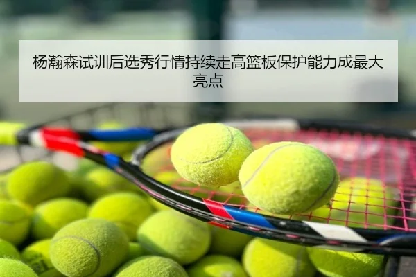 杨瀚森试训后选秀行情持续走高篮板保护能力成最大亮点