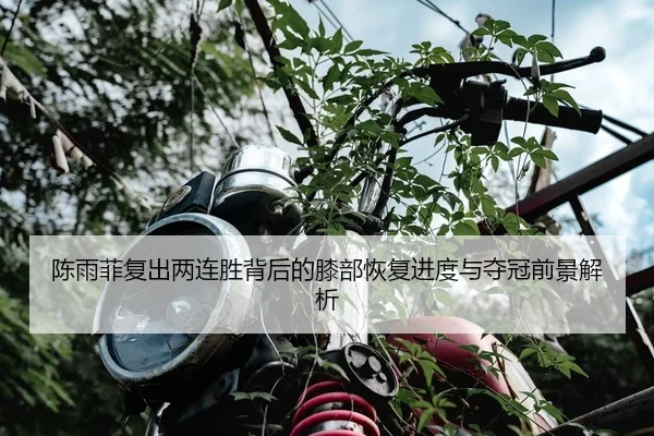 陈雨菲复出两连胜背后的膝部恢复进度与夺冠前景解析